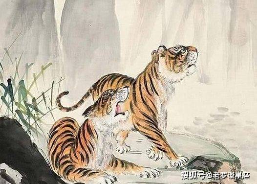 与龙相似岂能比，上天下地钻容易打一个正确生肖,警惕虚假宣传-全面释义、解释与落实、定量解答解释落实